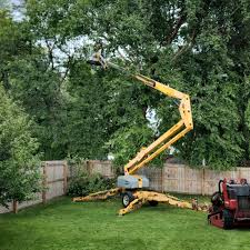 Reliable Tidmore Bend, AL  Tree Services Solutions